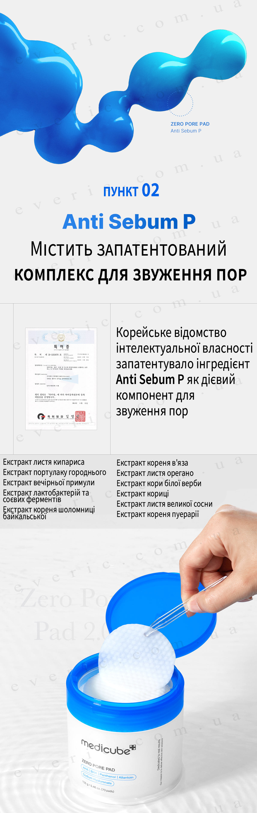 12 копия