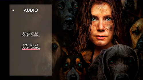 vlcsnap 2025 01 28 20h08m16s267.png