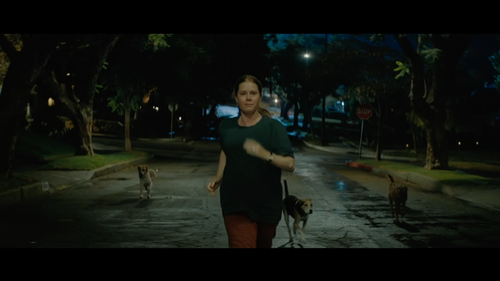 vlcsnap 2025 01 28 20h08m53s395.png