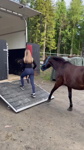 DSC 00703 wilsunposti2011@gmail.com.jpg