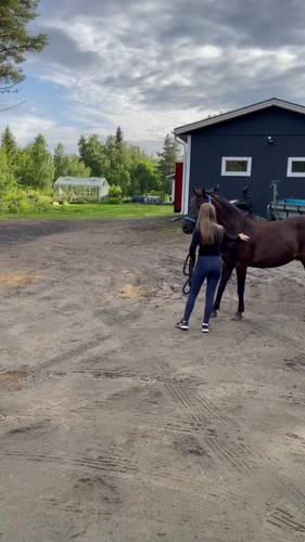 DSC 00702 wilsunposti2011@gmail.com.jpg