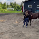 DSC 00702 wilsunposti2011@gmail.com