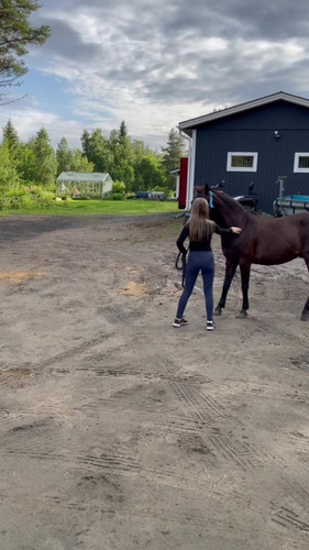 DSC 00701 wilsunposti2011@gmail.com.jpg