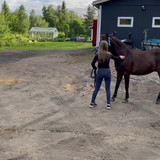 DSC 00701 wilsunposti2011@gmail.com