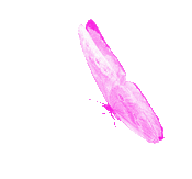 bloggif 679ac20d40e38.gif