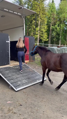 DSC 00704 wilsunposti2011@gmail.com.jpg