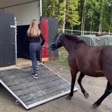 DSC 00704 wilsunposti2011@gmail.com