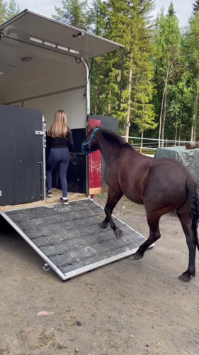 DSC 00705 wilsunposti2011@gmail.com.jpg