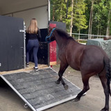 DSC 00705 wilsunposti2011@gmail.com