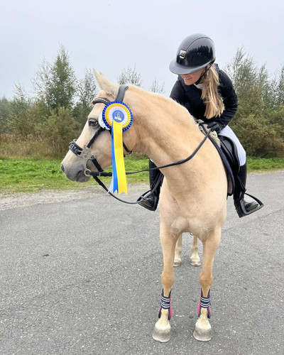 DSC 00863 wilsunposti2011@gmail.com.jpg