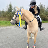 DSC 00863 wilsunposti2011@gmail.com