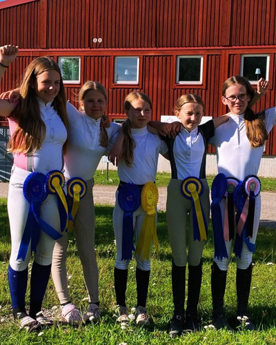 DSC 00869 wilsunposti2011@gmail.com.jpg