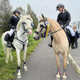 DSC 00864 wilsunposti2011@gmail.com