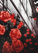 bloggif 67995cbbde8d8.gif