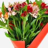 Większy bukiet z alstromerii