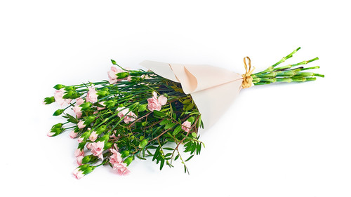 Różowe goździki.jpg