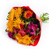 Kolorowy średni bukiet mieszany