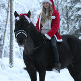 DSC 00364 wilsunposti2011@gmail.com