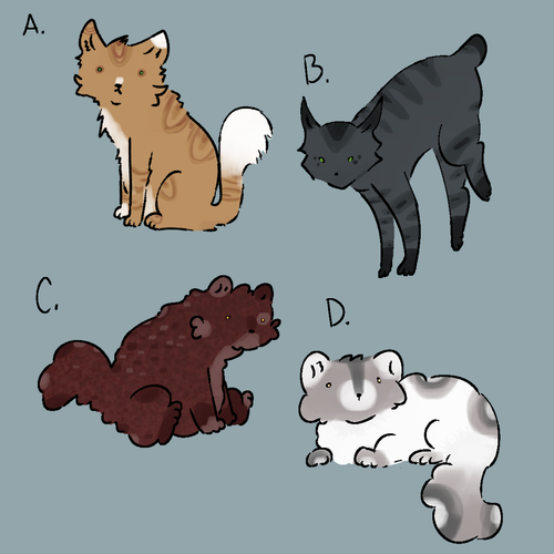 Untitled1494 20250127125403.png