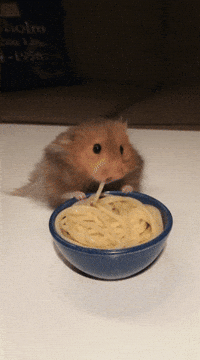 2Qe3U0J.gif