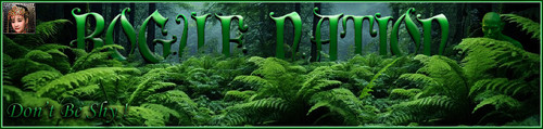 Fern Banner.jpg