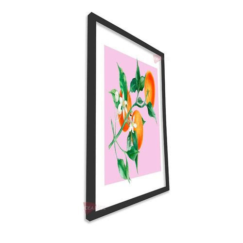mnr frutas vertical fvf15.jpg