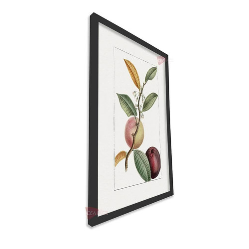 mnr frutas vertical fvf92.jpg