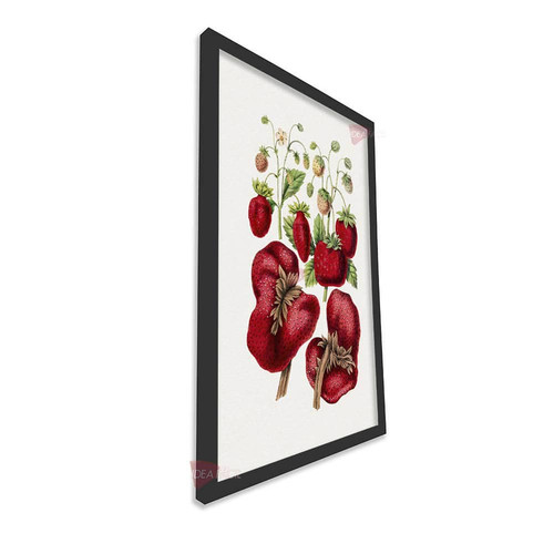 mnr frutas vertical fvf89.jpg