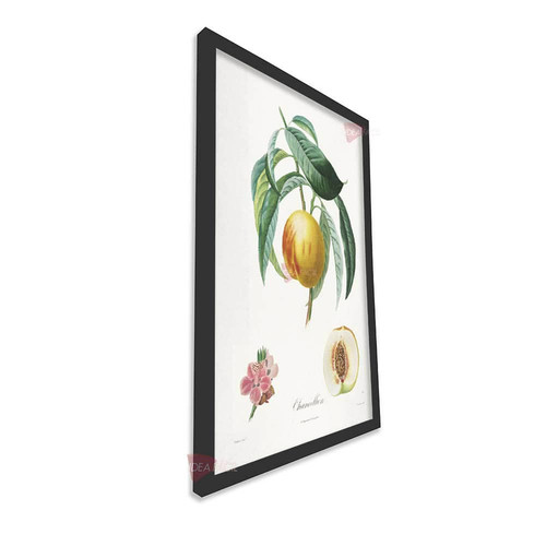 mnr frutas vertical fvf99.jpg