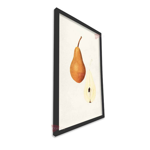 mnr frutas vertical fvf69.jpg