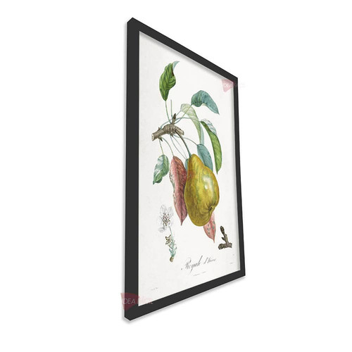 mnr frutas vertical fvf96.jpg