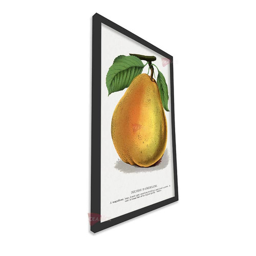 mnr frutas vertical fvf86.jpg