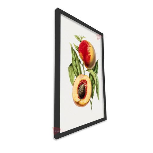 mnr frutas vertical fvf93.jpg