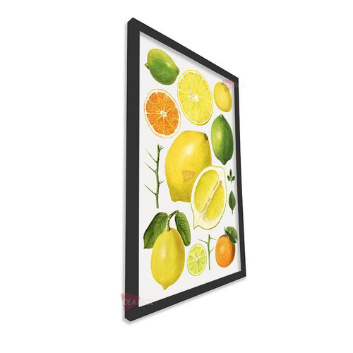 mnr frutas vertical fvf72.jpg