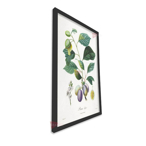 mnr frutas vertical fvf97.jpg