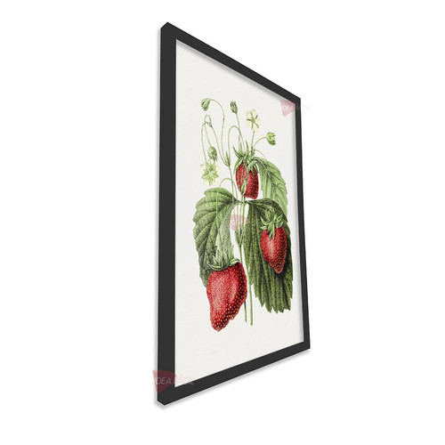 mnr frutas vertical fvf87.jpg