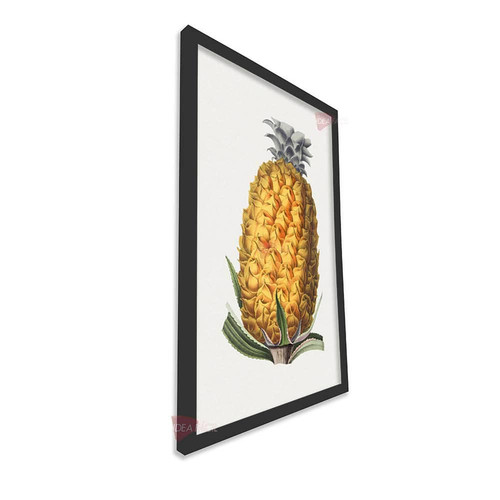 mnr frutas vertical fvf90.jpg