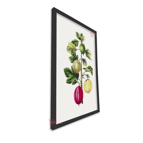 mnr frutas vertical fvf94.jpg