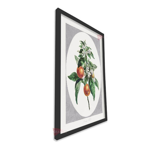 mnr frutas vertical fvf101.jpg