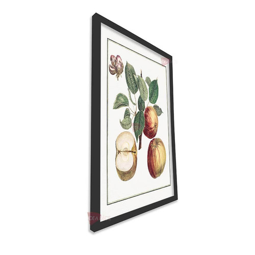 mnr frutas vertical fvf95.jpg