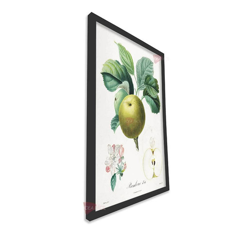 mnr frutas vertical fvf98.jpg