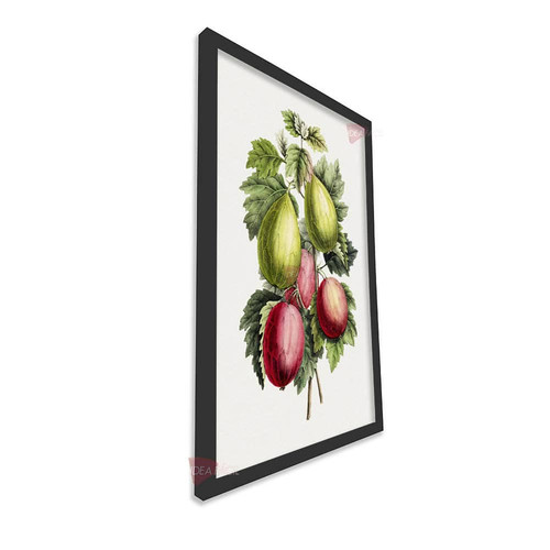 mnr frutas vertical fvf88.jpg