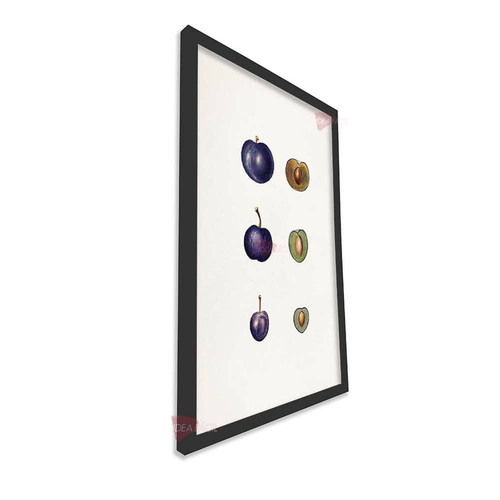 mnr frutas vertical fvf64.jpg