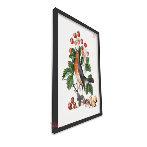 mnr frutas vertical fvf102.jpg