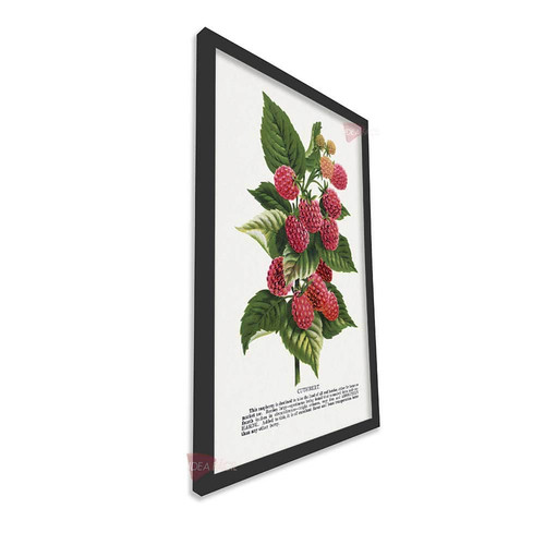 mnr frutas vertical fvf106.jpg