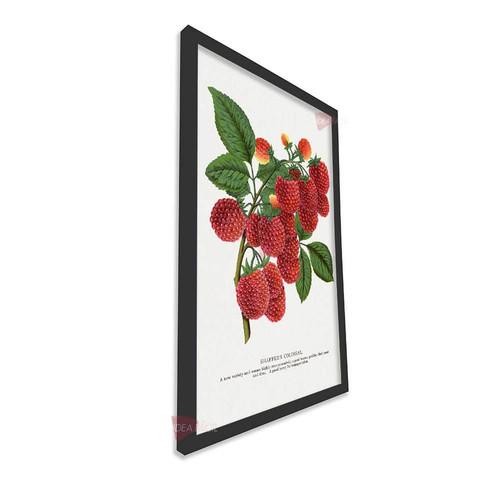 mnr frutas vertical fvf105.jpg