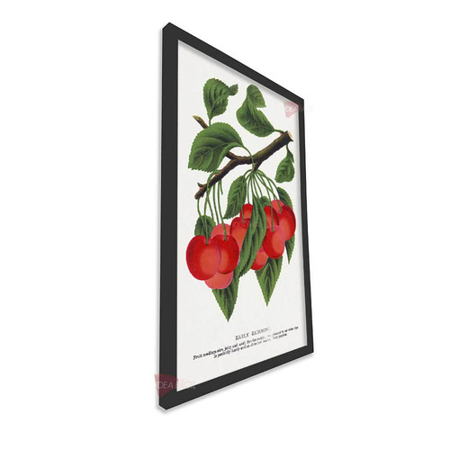mnr frutas vertical fvf108.jpg