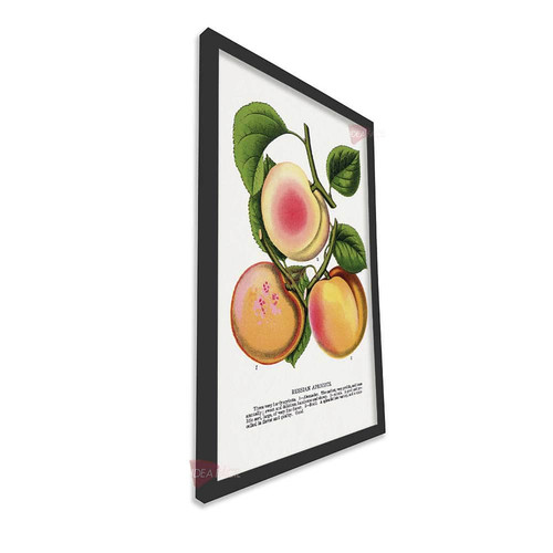 mnr frutas vertical fvf110.jpg
