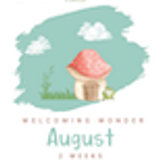 Welcoming Wonder Curriculum Kindergarten 01 August