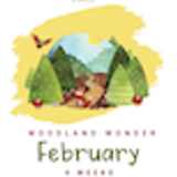 Woodland Wonder Curriculum Preschool 07 Feburary